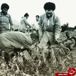 عکس قدیمی رهبر انقلاب در حال کشاورزی
