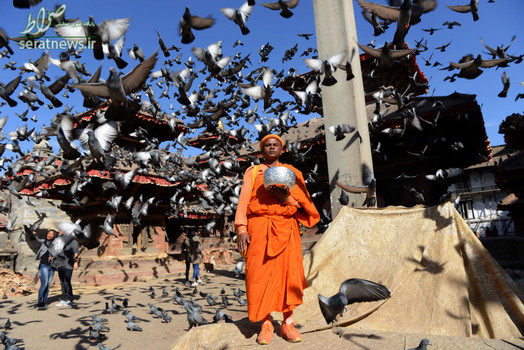 یک راهب بودایی در میان صدها کبوتر در کاتماندو