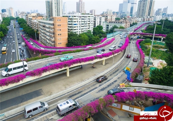 ایده جالب یک شهرداری در چین+تصاویر