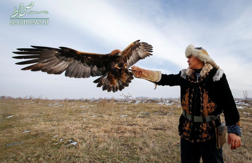 عکس/شکارچی قزاق و عقاب طلایی اش