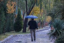 فعالیت سامانه بارشی در اغلب نقاط کشور/بارش باران در تهران همراه با وزش باد شدید+ جدول