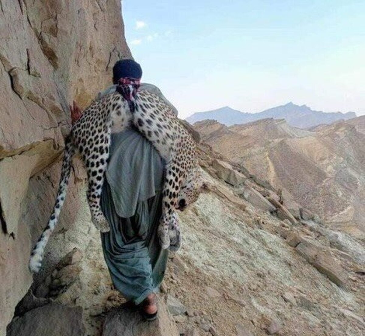 شکار یک پلنگ ایرانی در توسط یک تبعه پاکستان + عکس